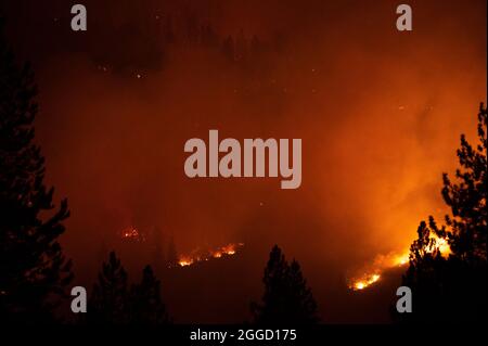 30. August 2021, Stateline, NV, USA: Während des Caldor-Feuers am Montag, den 30. August 2021 in El Dorado County, zieht das Feuer nach Norden in Richtung Christmas Valley entlang des Highway 89. (Bild: © Paul Kitagaki Jr./ZUMA Press Wire) Stockfoto