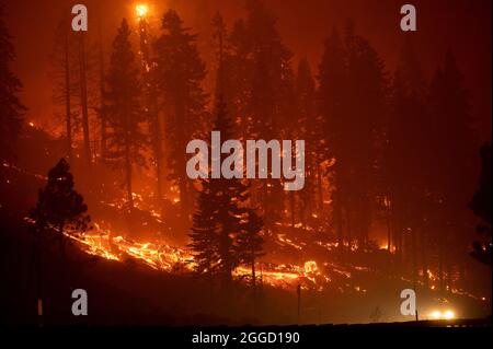 30. August 2021, Stateline, NV, USA: Feuer brennt auf dem Highway 50 östlich des Echo Summit während des Caldor-Feuers am Montag, den 30. August 2021 im El Dorado County. (Bild: © Paul Kitagaki Jr./ZUMA Press Wire) Stockfoto