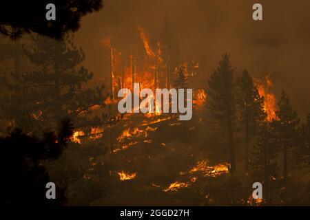 Am Montag, den 30. August 2021, schürfen Flammen einen Hang entlang des Highway 89 im Gebiet des Christmas Valley während des Caldor-Feuers in der Nähe von Meyers, Kalifornien. Die Stadt South Lake Tahoe steht unter Evakuierungsbefehlen. Foto von Peter DaSilva/UPI Stockfoto