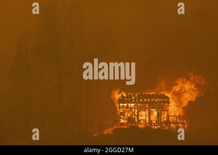 Das Feuer verschlingt eine kleine Hütte oberhalb des Highway 50 während des Caldor-Feuers in der Nähe des Lower Echo Lake, Kalifornien, am Montag, den 30. August 2021. Die Stadt South Lake Tahoe steht unter Evakuierungsbefehlen. Foto von Peter DaSilva/UPI Stockfoto