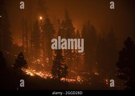 Flammen umschlingen einen Hang entlang des Highway 50 während des Caldor-Feuers in der Nähe von Meyers, Kalifornien, am Montag, den 30. August 2021. Die Stadt South Lake Tahoe, Kalifornien, steht unter Evakuierungsbefehlen. Foto von Peter DaSilva/UPI Stockfoto