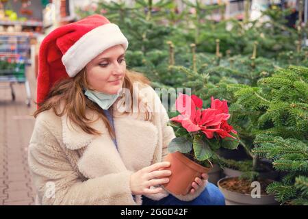 Frau in santa Hut und medizinische Gesichtsmaske wählt weihnachtsstern Blume im Geschäft mit Neujahr Geschenke Stockfoto