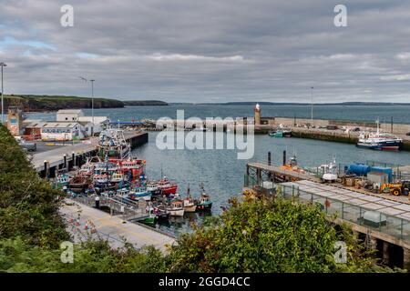 Fischerhafen/Hafen in Dunmore East, County Waterford, Irland. Stockfoto