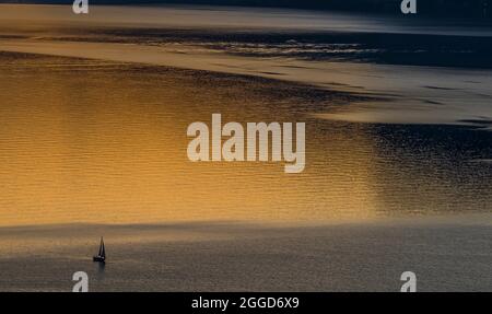 Sonnenuntergang am goldenen See von Verginate, Comer See, Lombardei, Italien, Europa Stockfoto