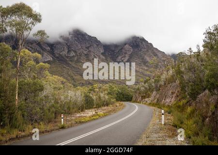 Gordon River Road in Tasmanien, Australien, umgeben von im Nebel verdeckten Sentinels Stockfoto