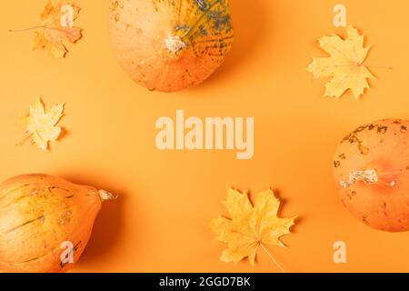 Herbstkomposition mit Kürbissen und trockenen Blättern auf orangefarbenem Hintergrund, flach liegend. Stockfoto