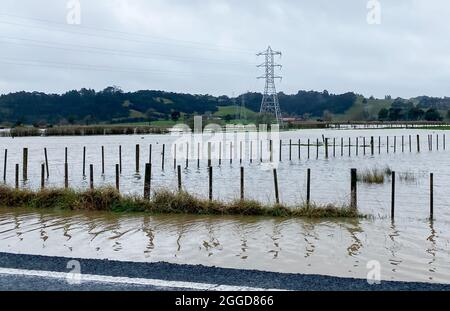 Auckland. August 2021. Das Foto, das am 31. August 2021 mit einem Mobiltelefon aufgenommen wurde, zeigt ein wasserdichtes Gebiet im Westen von Auckland in Neuseeland. Menschen von mindestens 60 Häusern im Westen Neuseelands in Auckland wurden über Nacht evakuiert, weil es eine durch Regen ausgelöste Überschwemmung gab, die während der COVID-19-Sperre durchgeführt wurde. Kredit: Li Qiaoqiao/Xinhua/Alamy Live Nachrichten Stockfoto
