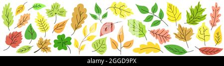 Herbstlaub. Farbblätter isoliert. Satz Herbstblätter. Vektorgrafik. Stock Vektor