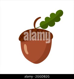 Acorn, isolierte flache Vektorgrafik Stock Vektor
