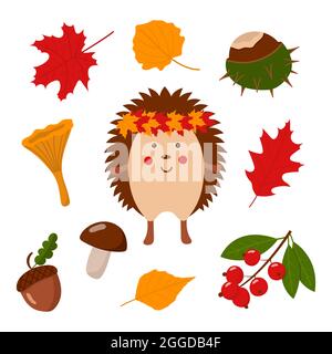 Herbstkollektion mit niedlichem Igel Stock Vektor