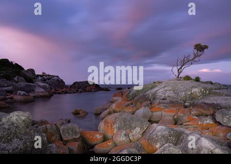 Schönes Susnet in Binalong Bay, Bay of Fires, Tasmanien, Australien Stockfoto