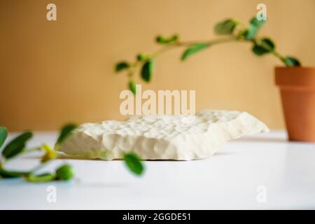 Hintergrund für kosmetische Produkte von natürlichen beigen Farbe. Podium aus Stein und grüne Ast-Blätter auf beigem Hintergrund. Vorderansicht. Stockfoto