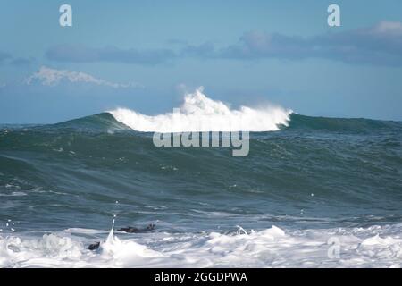 Breaking Waves, Owhiro Bay, Wellington, Nordinsel, Neuseeland. Schneebedeckte Kaikoura Ranges in der Ferne. Stockfoto