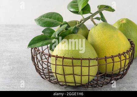Frischer Pomelo auf grauem Zement-Hintergrund für Mid-Autumn Festival Fruit. Stockfoto