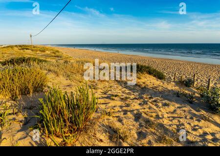 Breiter Sandstrand von Faro mit Dünen und Gehwegen am Sonnenuntergang, Faro, Algarve, Portugal Stockfoto