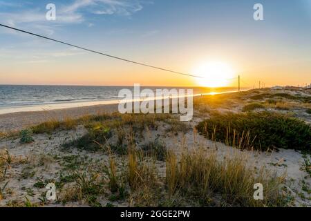 Breiter Sandstrand von Faro mit Dünen und Gehwegen am Sonnenuntergang, Faro, Algarve, Portugal Stockfoto