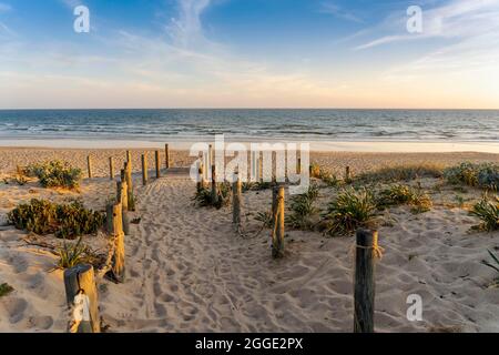 Breiter Sandstrand von Faro mit Dünen und Gehwegen am Sonnenuntergang, Faro, Algarve, Portugal Stockfoto