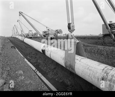 Eine Reihe von Caterpillar 583-Pipelayern mit seitlichen Auslegern, die die Fens-Gaspipeline in einen kürzlich gegrabenen Graben heben. Die Arbeiten zur Verlegung der Fens-Gaspipeline begannen im Juni 1967 und waren ein Joint Venture zwischen Laing Civil Engineering und den französischen Unternehmen Entrepose und Grands Travaux de Marseille (GTM) für den Gasrat. Über 600 Männer arbeiteten an dem Projekt, Stahlrohre mit einem Durchmesser von 36 Zoll zu verlegen, beginnend bei West Winch in Norfolk, wo es mit dem nächsten Vertrag in Woodcroft Castle in Cambridgeshire in Verbindung gebracht wurde. Die Pipeline überquerte vier Flüsse und zahlreiche Deiche und Gräben. Stockfoto