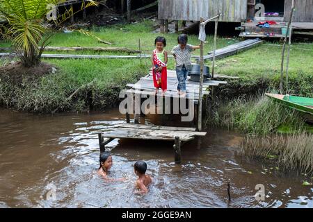 Kinder im Dschungeldorf spielen im Fluss, im Tanjung Puting Nationalpark, im Zentrum von Kalimantan, Borneo, Indonesien Stockfoto