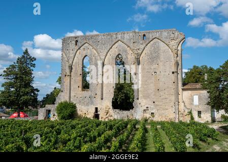Chateau Les Grandes Murailles, Saint Emilion, Gironde, Nouvelle-Aquitaine, Frankreich Stockfoto