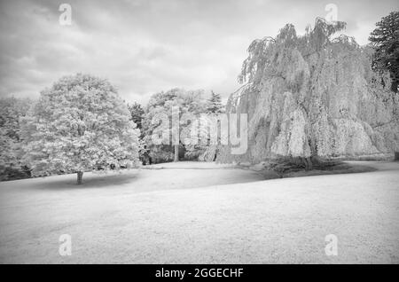 Infrarotbild, Park des Chateau de Kergrist, Ploubezre, Cotes d'Armor, Bretagne, Frankreich Stockfoto