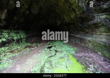 Lavatunnel in der Nähe von Caldeira auf der Insel Graciosa, Azoren Stockfoto