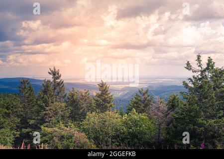 Blick über Baumkronen ins Thüringer Land mit bewölktem Himmel Stockfoto