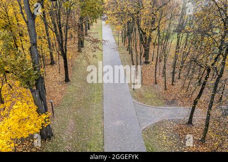 Herbstliche Parklandschaft mit geradem Steinweg durch Fallbäume und gefallene Blätter auf dem Boden. Luftaufnahme Stockfoto