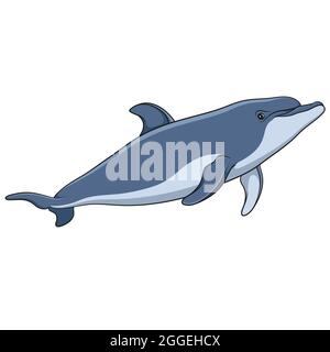Farbvektorbild eines Delphins. Isoliertes Objekt auf weißem Hintergrund. Stock Vektor
