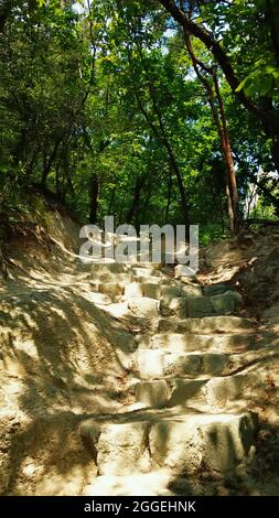 Anstrengend, natürlich nach oben schauen mit Treppen durch den Wald, Bukhansan Nationalpark, senkrecht Stockfoto