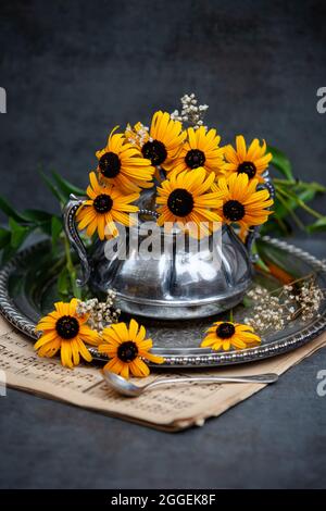 Schönes Bouquet von gelben Gänseblümchen im silbernen Metalltopf. Stillleben Blumenfotografie. Stockfoto