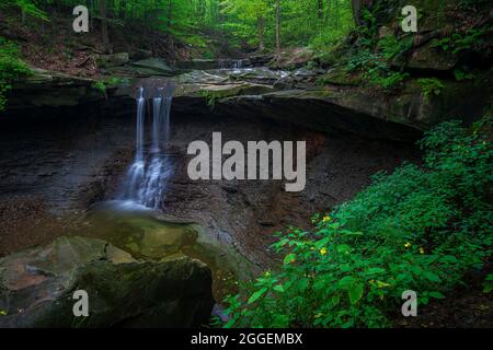 Spätsommer. Jude von Blue Hen Falls im Cuyahoga Valley National Park, Ohio Stockfoto