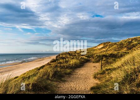 Bewachsene Sanddüne auf der deutschen nordischen Meerinsel Sylt Stockfoto