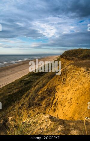 Steile bewachsene Sanddüne auf der deutschen Nordseeinsel Sylt, senkrecht Stockfoto