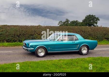 1966 60s Sixties Blue Ford Mustang Pony Car 2DR Coupe auf dem Weg zur Capesthorne Hall Oldtimer-Ausstellung im August, Cheshire, Großbritannien Stockfoto