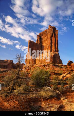 Blick auf die roten Felsen in der Nähe von Courthouse Wash im Arches National Park Stockfoto