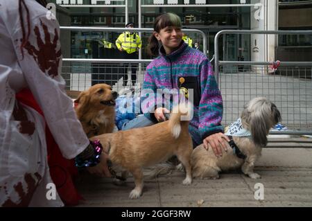 2021-08-31 Home Office, London, Großbritannien. August 2021. Das grausame Geheimnis, UK Hunde Liebhaber kein Fleisch der Einsatz von Hunden in Tierversuchen - Free the MBR Beagle. Tierrechtsprotester fordern von Innenministerin Priti Patel, den Einsatz von Hunden in Tierversuchen einzustellen. Kredit: Picture Capital/Alamy Live Nachrichten Stockfoto