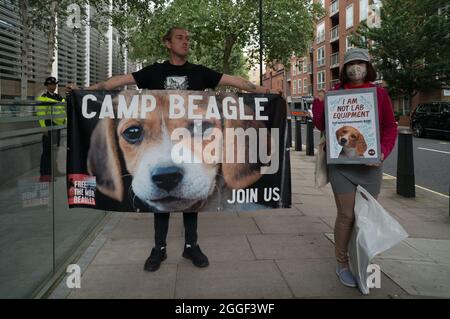 2021-08-31 Home Office, London, Großbritannien. August 2021. Das grausame Geheimnis, UK Hunde Liebhaber kein Fleisch der Einsatz von Hunden in Tierversuchen - Free the MBR Beagle. Tierrechtsprotester fordern von Innenministerin Priti Patel, den Einsatz von Hunden in Tierversuchen einzustellen. Kredit: Picture Capital/Alamy Live Nachrichten Stockfoto