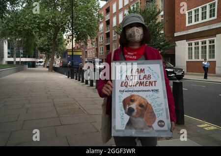 2021-08-31 Home Office, London, Großbritannien. August 2021. Das grausame Geheimnis, UK Hunde Liebhaber kein Fleisch der Einsatz von Hunden in Tierversuchen - Free the MBR Beagle. Tierrechtsprotester fordern von Innenministerin Priti Patel, den Einsatz von Hunden in Tierversuchen einzustellen. Kredit: Picture Capital/Alamy Live Nachrichten Stockfoto