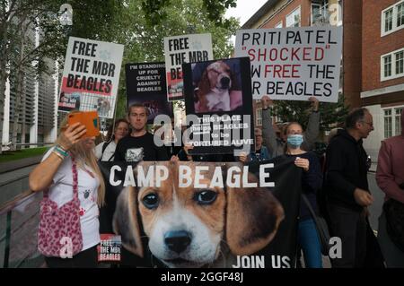 2021-08-31 Home Office, London, Großbritannien. August 2021. Das grausame Geheimnis, UK Hunde Liebhaber kein Fleisch der Einsatz von Hunden in Tierversuchen - Free the MBR Beagle. Tierrechtsprotester fordern von Innenministerin Priti Patel, den Einsatz von Hunden in Tierversuchen einzustellen. Kredit: Picture Capital/Alamy Live Nachrichten Stockfoto