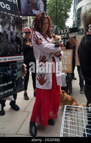 2021-08-31 Home Office, London, Großbritannien. August 2021. Das grausame Geheimnis, UK Hunde Liebhaber kein Fleisch der Einsatz von Hunden in Tierversuchen - Free the MBR Beagle. Tierrechtsprotester fordern von Innenministerin Priti Patel, den Einsatz von Hunden in Tierversuchen einzustellen. Kredit: Picture Capital/Alamy Live Nachrichten Stockfoto