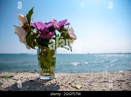 Ein Bouquet von zartem Hibiskus in einem Glas vor dem Hintergrund des Meeres. Stockfoto