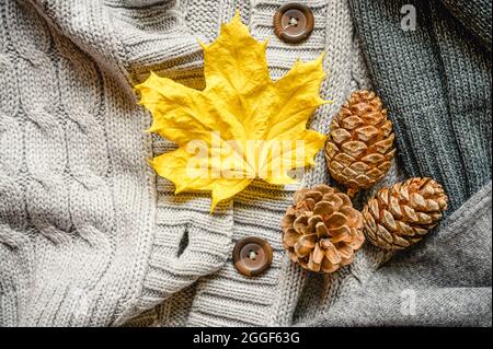 Herbstlich gelbes Blatt und drei Tannenzapfen auf dem Hintergrund gestrickter Pullover in Grautönen Stockfoto