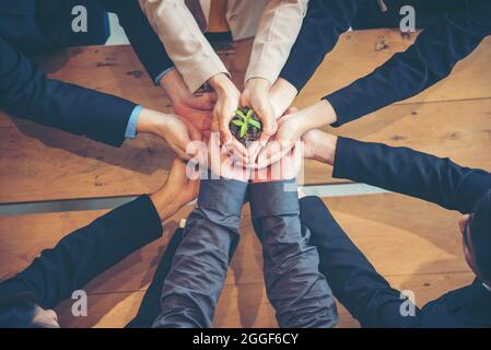 Green Business Meeting. United Partners Team mit Händen zusammen halten Pflanze grün vertrauenswürdigen Freunden. Hands Stacked Holding mit Sustainability Partne Stockfoto