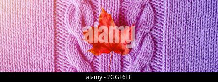 Kleines helles, rotes, trockenes Herbstahornblatt auf violettem Strickstoff oder Pullover mit Zöpfen. Warmes und gemütliches Herbstkonzept. Nahaufnahme, Draufsicht. bann Stockfoto