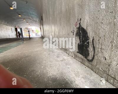 London, Großbritannien - 20.09.2021: Banksy-Schablonenratte an der Wand in der Tunnelunterführung an der London Bridge Tooley Street SE1 Stockfoto