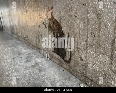 London, Großbritannien - 20.09.2021: Banksy-Schablonenratte an der Wand in der Tunnelunterführung an der London Bridge Tooley Street SE1 Stockfoto