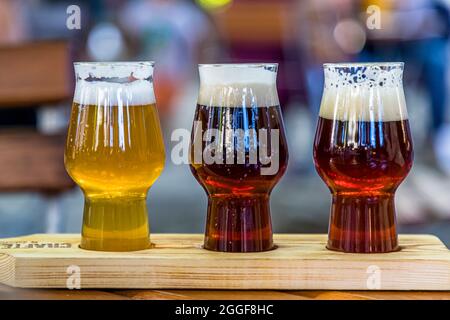 Degustationsgläser mit Craft-Bier aus der Pfefferlechner Hausbrauerei in Lana, Südtirol, Italien Stockfoto