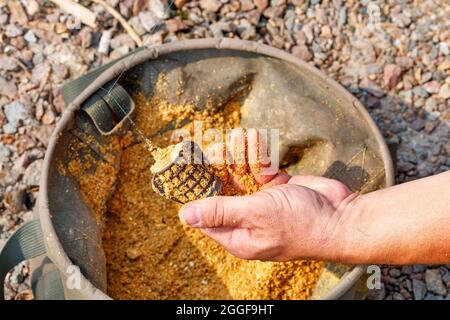 Ein Metallfutterhäuschen für Fische in der Hand des Fischers befindet sich mit Köder vor dem Hintergrund eines Plane-Angeleiters. Platz zum Kopieren, Nahaufnahme. Stockfoto