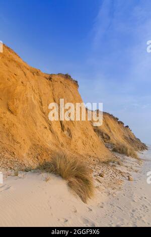 Rotes Kliff / Rote Kliff, 30 Meter hohe Meeresklippen zwischen Wenningstedt und Kampen auf der deutschen Nordseeinsel Sylt, Schleswig-Holstein, Deutschland Stockfoto